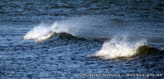 Der er godt gang i havet ud for Grenå Nordstrand