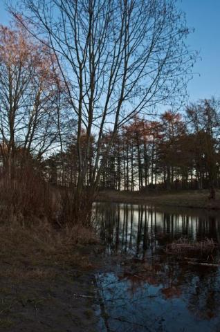 Taget en forårsdag ved skovsøen i Grenå